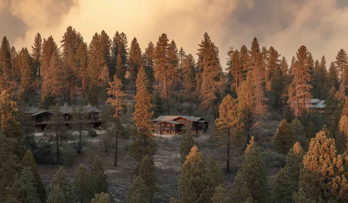 Wooden cabins are nestled among tall pine trees on a hillside, illuminated by warm sunlight under a cloudy sky.