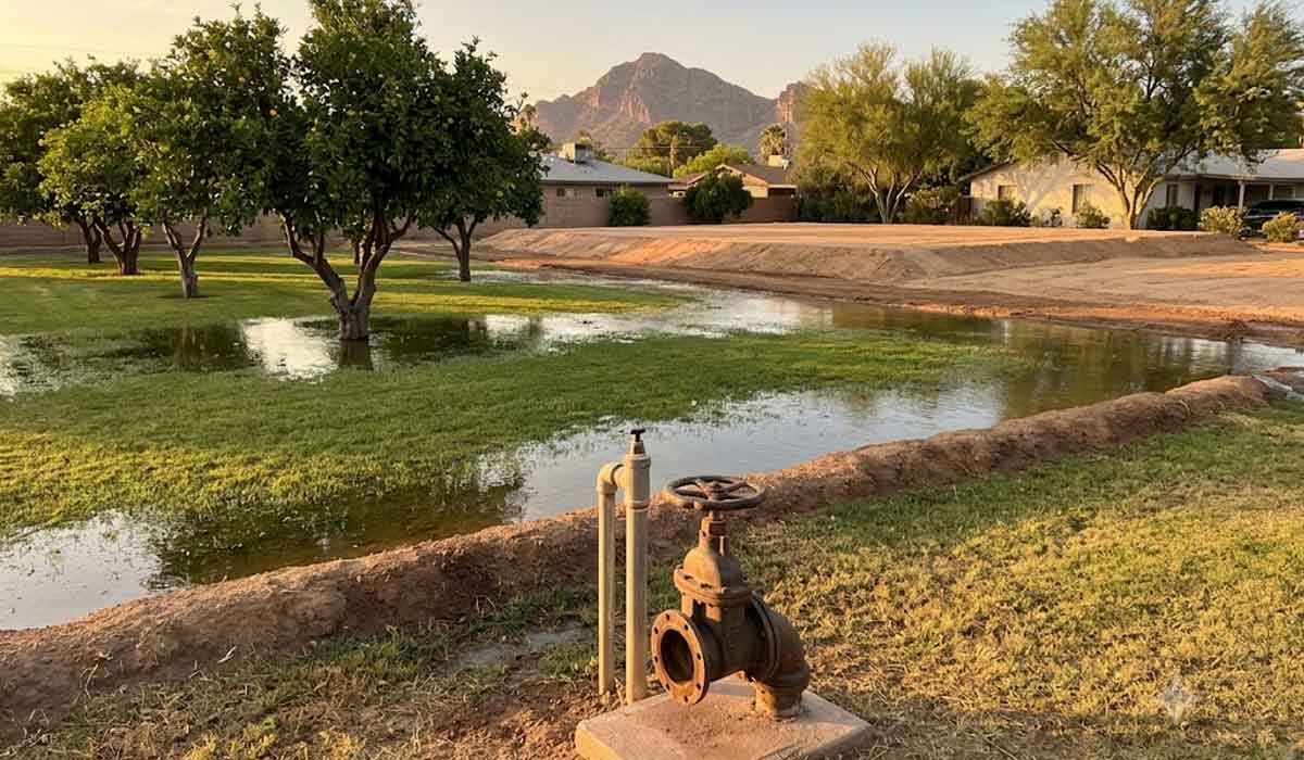A water valve stands in the foreground of a grassy yard with flooding; orange trees, houses, and a mountain are visible in the background.
