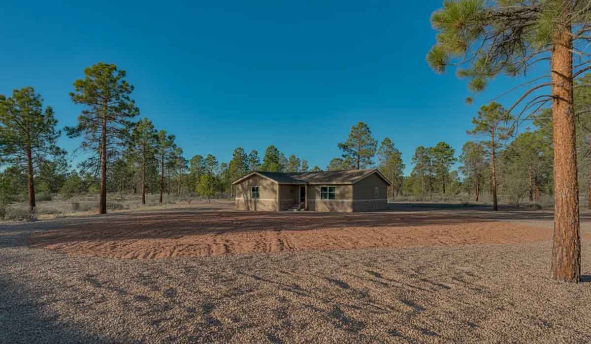 Single-story house surrounded by tall pine trees, set on a large plot of land with gravel and dirt under a clear blue sky.