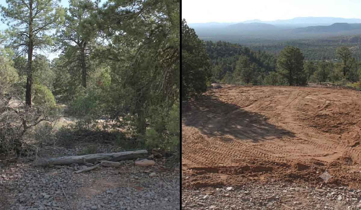 Side-by-side comparison showing a forested area with trees and rocks on the left, and a cleared, dirt-covered area with tire tracks on the right.